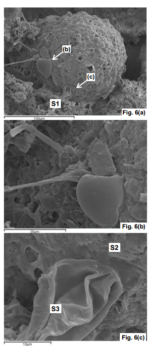 Polonnaruwa%20meteorite