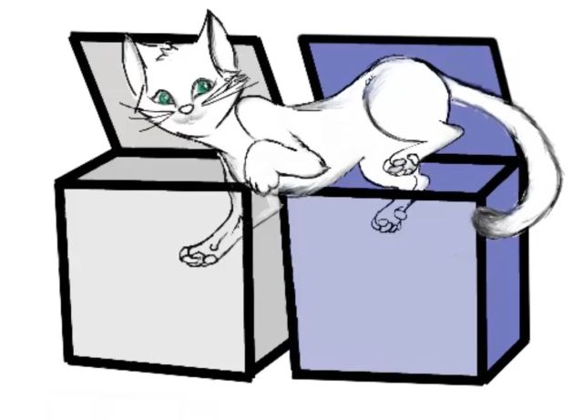 schrodinger-cat-two-boxes