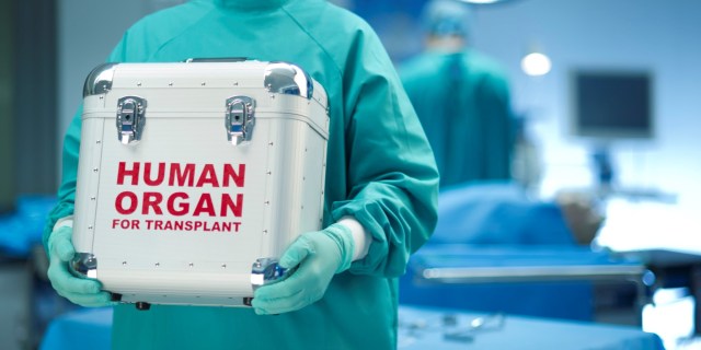 human-organ-transport
