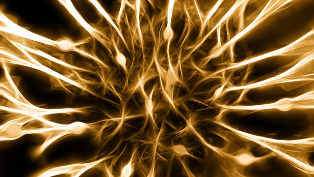 brains-immune-cells-to-blame-for-obesity-associated-cognitive-decline-309339