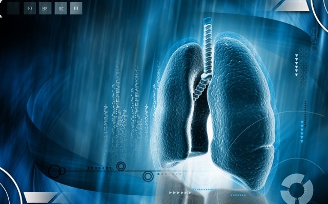 35472460 - digital illustration of human lungs in colour background